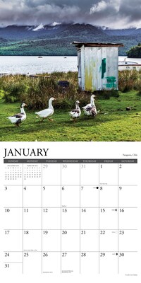 2027 Willow Creek Outhouses of the World  12" x 12" Monthly Wall Calendar (61657)