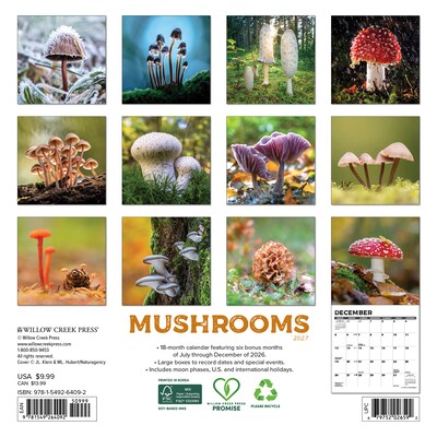 2027 Willow Creek Mushrooms 7 x 7 Monthly Wall Calendar, Assorted Colors (64092)