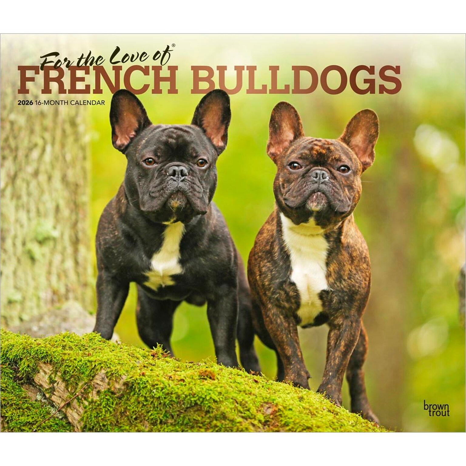 2026 BrownTrout For the Love of French Bulldogs 14 x 12 Monthly Wall Calendar (9798330707201)