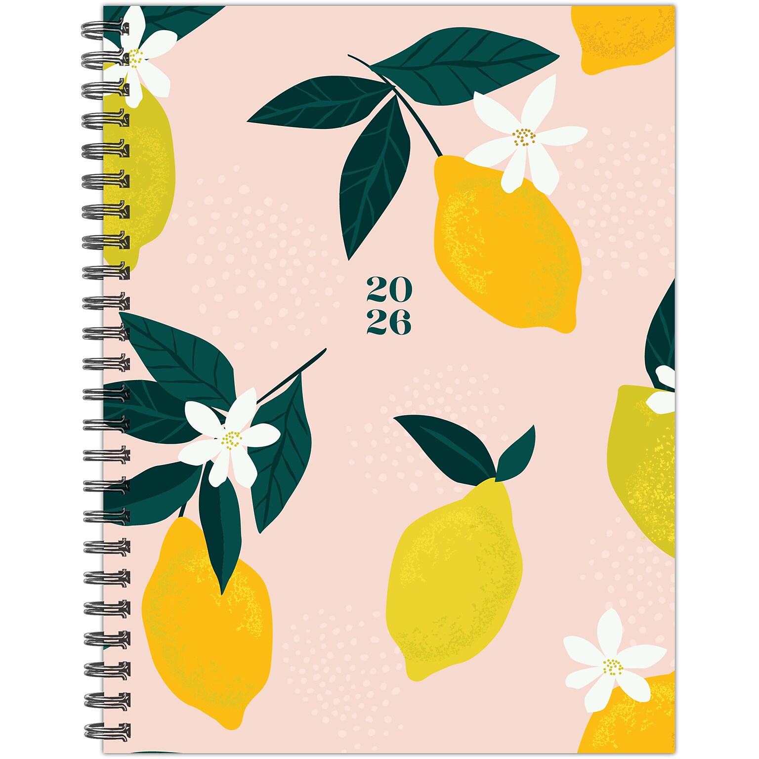 2026 Willow Creek Citrus 6.5 x 8.5 Weekly & Monthly Planner, Paperboard Cover (58503)