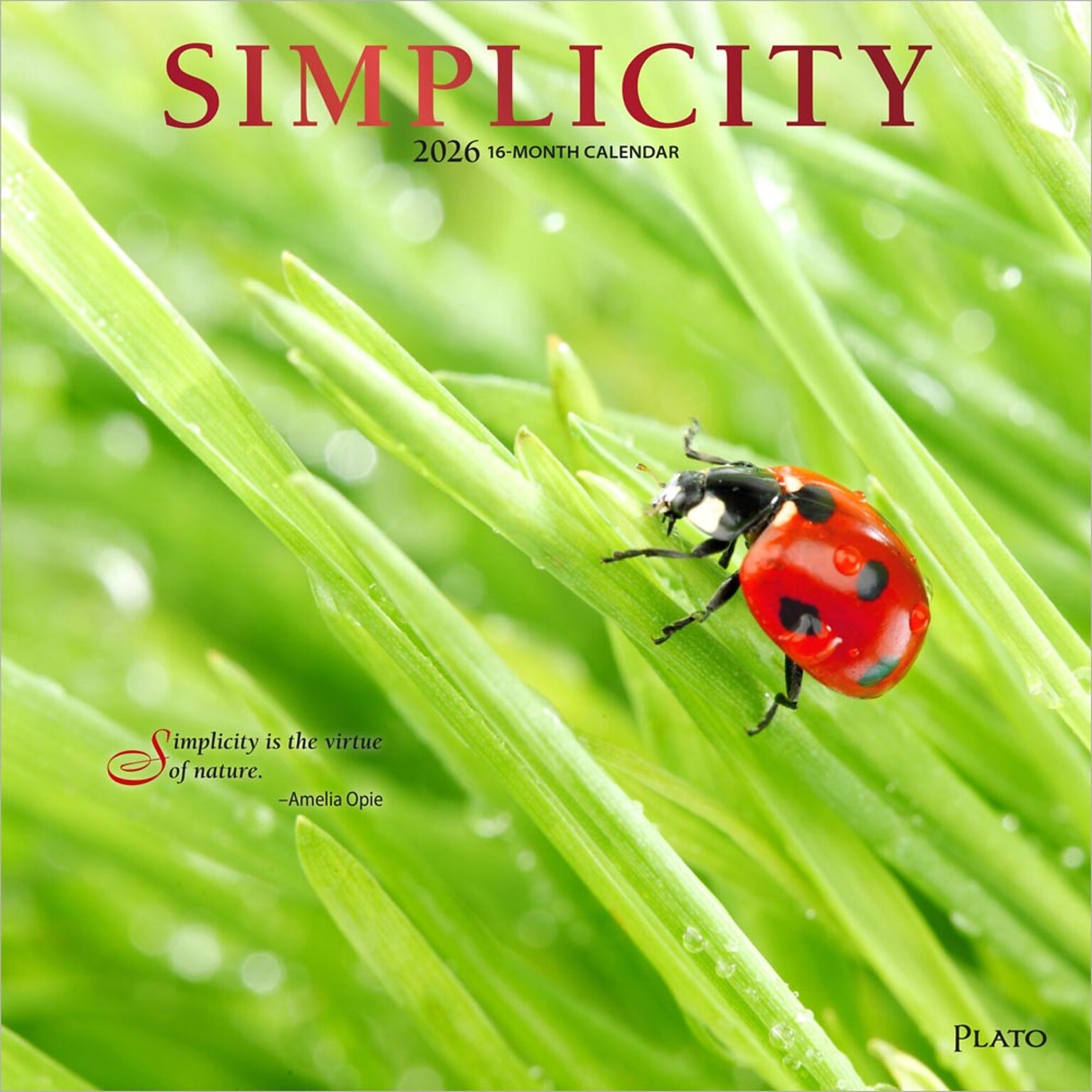 2026 Plato Simplicity 12 x 12 Monthly Wall Calendar (9798330706686)
