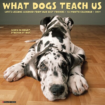 2027 Willow Creek What Dogs Teach Us 12 x 12 Monthly Wall Calendar, Assorted Colors (62890)