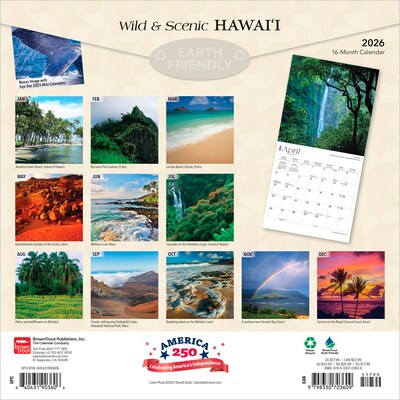 2026 BrownTrout Hawaii Wild & Scenic 12 x 12 Monthly Wall Calendar (9798330703609)