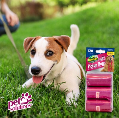 OdoBan Pet Waste Disposal Bags, 120/Pack (955122)