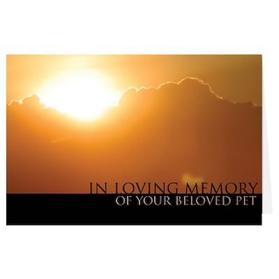 Medical Arts Press® Veterinary Sympathy Cards; In Loving Memory, Blank Inside