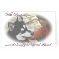 Medical Arts Press® Veterinary Sympathy Cards; Special Friend, Blank Inside
