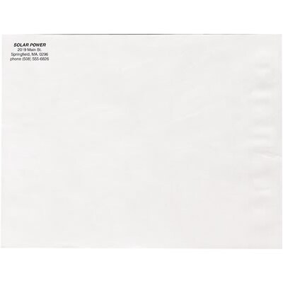 Survivor® Tyvek® White Open-End Flat Style; 10x13, 100/Box