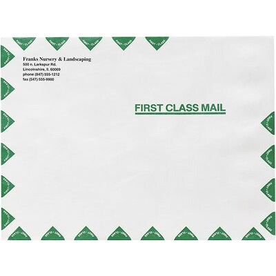 Survivor® Tyvek® White First Class Open-End Flat Style; 9x12, 100/Box