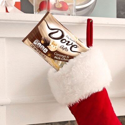 Dove Promises Milk Chocolate & Caramel Christmas Candy, 7.94 oz. (453411)
