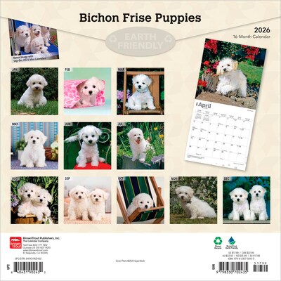 2026 BrownTrout Bichon Frise Puppies 12 x 12 Monthly Wall Calendar (9798330702435)