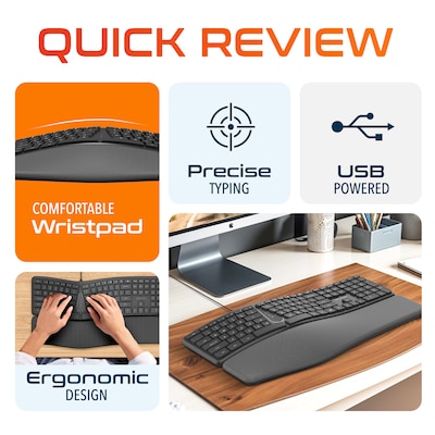 Delton KB250 Wired Ergonomic Keyboard with Cushioned Wrist Rest, USB-A, Black (DKBE250-U)