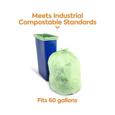Coastwide Professional™ 55-60 Gallon Trash Bag, 38" x 58", Low Density, 0.9 Mil, Green, 100 Bags/Box, 5 Rolls (CW62401)