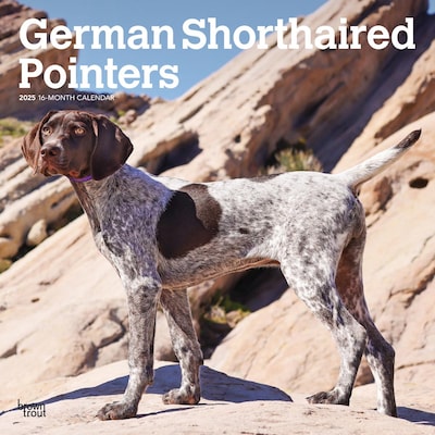 2025 BrownTrout German Shorthaired Pointers 12 x 12 Monthly Square Wall Calendar (9781975477028)