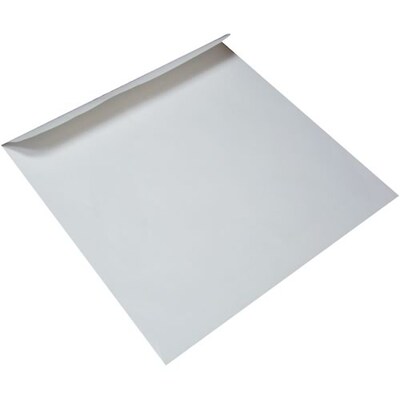 Blank Wall Calendar Envelopes; 11x10-5/8