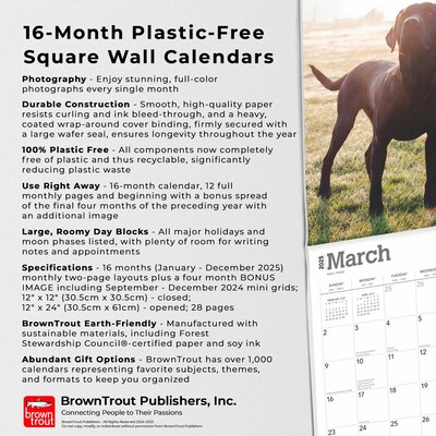 2025 BrownTrout Black Labrador Retrievers 12" x 24" Monthly Square Wall Calendar, (9781975477349)