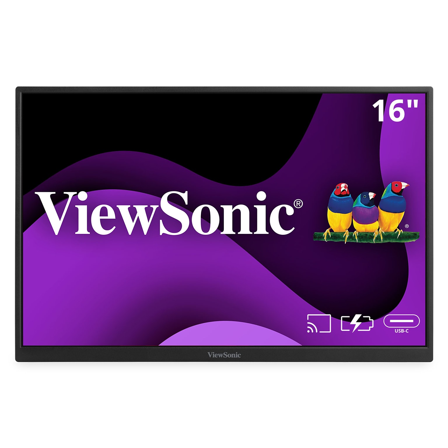 ViewSonic 16 60Hz LED Monitor, Black (VG1656N)
