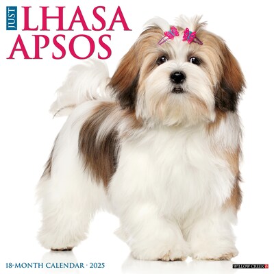 2025 Willow Creek Just Lhasa Apsos 12 x 12 Monthly Wall Calendar (43707)