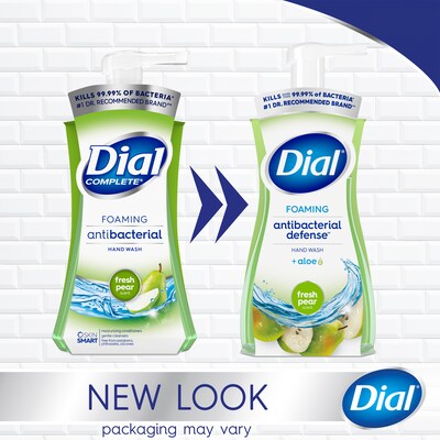 Dial Antibacterial Foaming Hand Soap, Fresh Pear Scent, 8/Carton (017000347219)