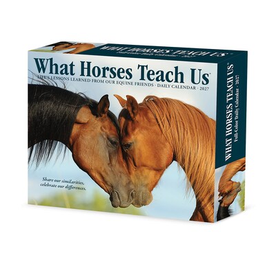 2027 Willow Creek What Horses Teach Us 5.4 x 6.2 Day-to-Day Calendar (63842)