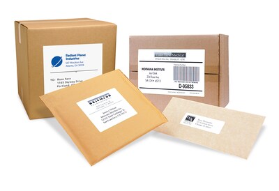 PRES-a-ply Laser/Inkjet Shipping Labels, 3-1/3" x 4", White, 6 Labels/Sheet, 100 Sheets/Box (30604)