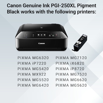 Canon 250XL Black High Yield Ink Cartridge (6432B001)