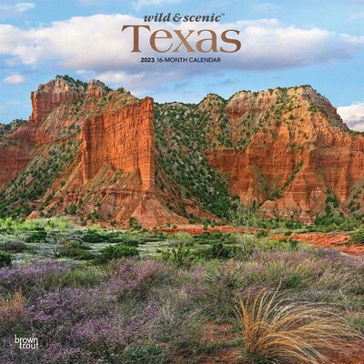 2023 BrownTrout Texas Wild & Scenic 12 x 24 Monthly Wall Calendar, (9781975448714)
