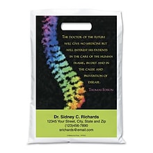 Medical Arts Press® Chiropractic Personalized Full-Color Bags; 9x13, Holistic Care, 100 Bags, (1477
