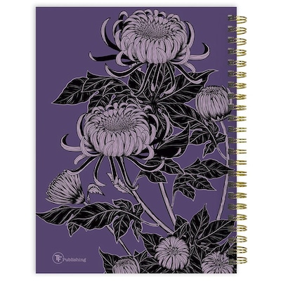 2027 TF Publishing Seagulls 6.5" x 8"  Weekly & Monthly Standard Planner, Paperboard Cover, Multicolored (27-9216)