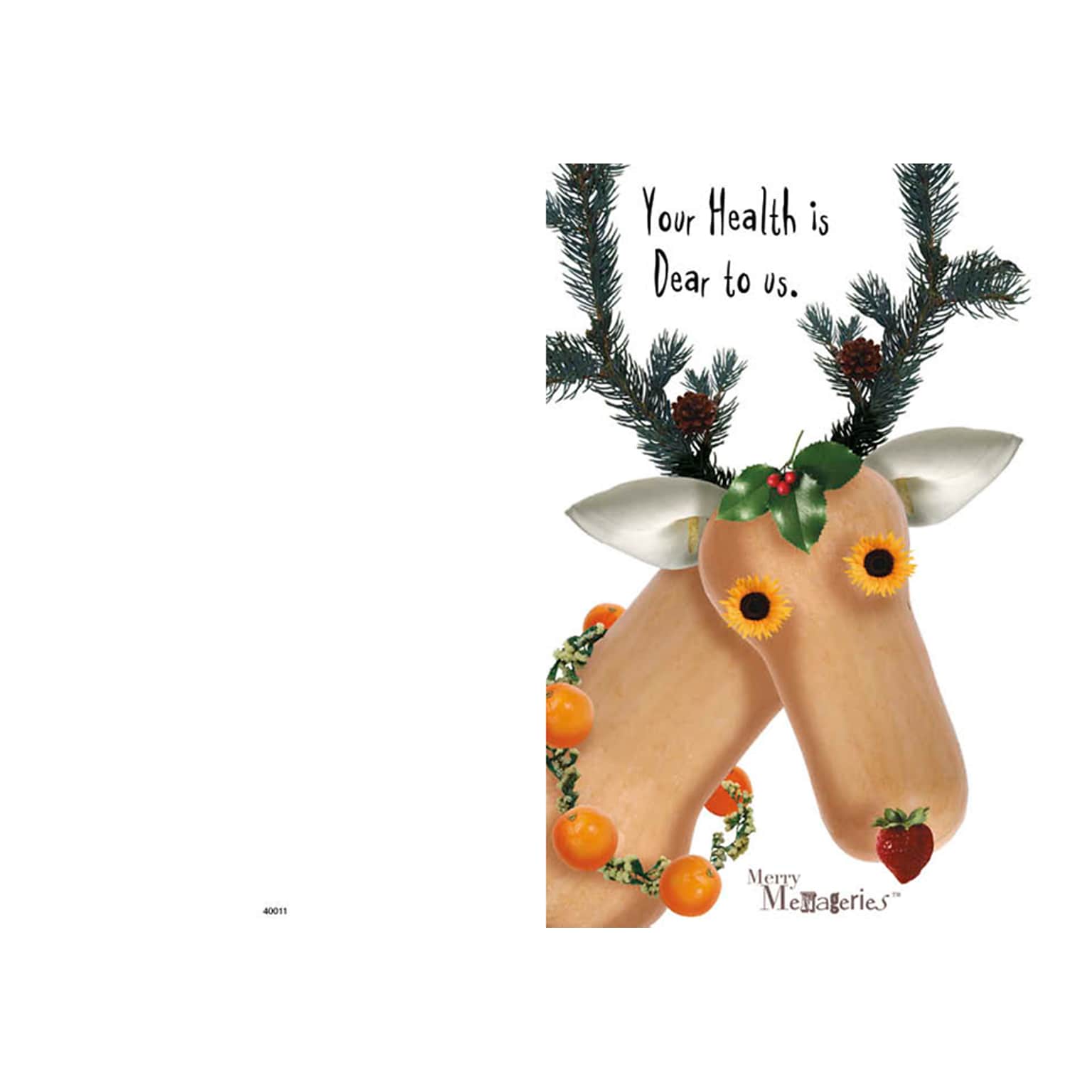 Your Health is dear to us - reindeer - merry menageries - 7 x 10 scored for folding to 7 x 5, 25 cards w/A7 envelopes per set