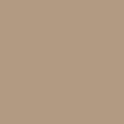 Apple Barrel Acrylic Paint Matte, 8oz., Country Tan, 6/Pack (APP2608E-6)