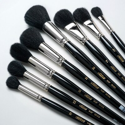Silver Brush Silver Mops Round and Oval Brushes, 8/Pack (SLVMP5665)