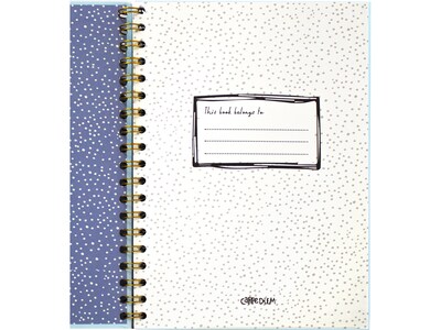 Carpe Diem Feathers 1-Subject Notebook, 7.5" x 9.75", Wide-Ruled, 80 Sheets, Multicolor (9379-CD)