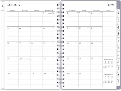 2025 Blue Sky Laila 5" x 8" Weekly & Monthly Planner, Plastic Cover, Multicolor (137276-25)