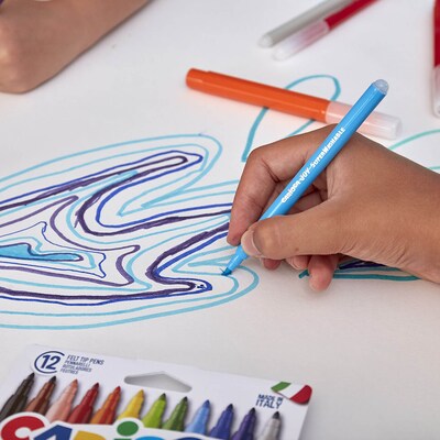 CARIOCA Joy Washable Kids Marker, Fine Tip, Assorted Colors, 24/Pack, 2/Bundle (CRA40615-2)