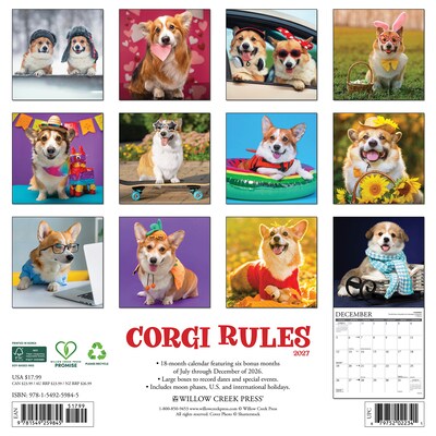2027 Willow Creek Corgi Rules 12 x 12 Monthly Wall Calendar, Assorted Colors (59845)