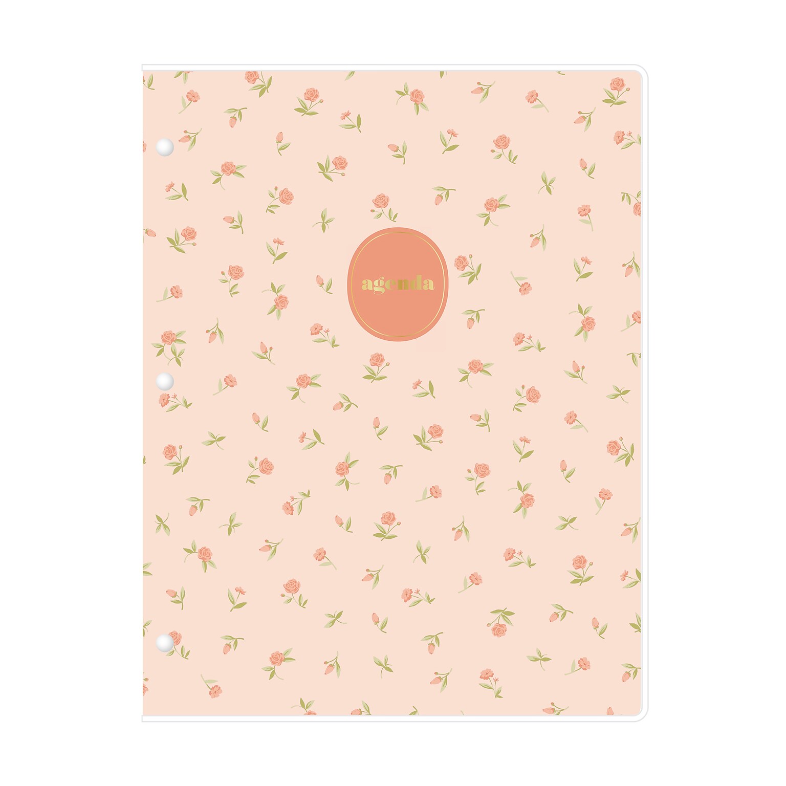 2027 Blue Sky Sincerely Jules 8.5 x 11 Monthly Planner, Peach (164239)