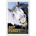 Medical Arts Press® Dental Standard 4x6 Postcards; Horse, Got Floss?