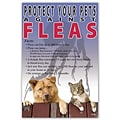 Medical Arts Press® Veterinary Standard 4x6 Postcards; Fleas