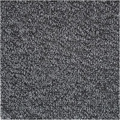 Crown® Dust-Star™ Wiper Entrance Mat; 4x10, Polypropylene, Charcoal