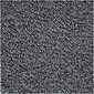 Crown® Dust-Star™ Wiper Entrance Mat; 2x3', Olefin, Charcoal