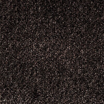 Crown® Dust-Star™ Wiper Entrance Mat; 4x10, Polypropylene, Walnut