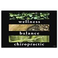Medical Arts Press® Chiropractic Standard 4x6 Postcards; Wellness