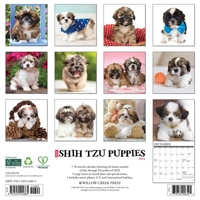 2025 Willow Creek Just Shih Tzu Puppies 12 x 12 Monthly Wall Calendar (44865)