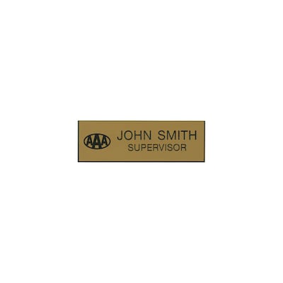 Professional Name Badges with Magnetic Backing with Logo; 1 x 3