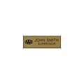 Professional Name Badges with Magnetic Backing with Logo; 1 x 3