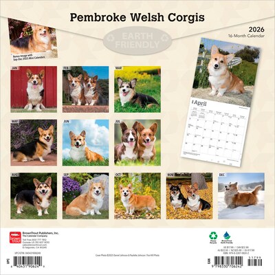 2026 BrownTrout Pembroke Welsh Corgis 12 x 12 Monthly Wall Calendar (9798330706242)