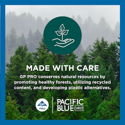 Pacific Blue Select Jumbo Jr. Toilet Paper, 2-ply, White, 1000 ft./Roll, 8 Rolls/Carton (13728)