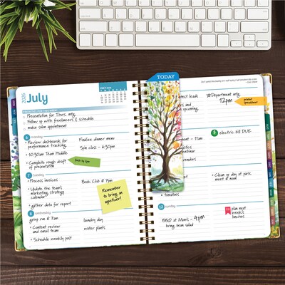 2026-2027 Excello Brands 8.5 x 11 Academic Weekly & Monthly Planner, Paperboard Cover, Tree Seasons (FSHN-AY26-8511-20)