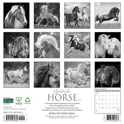 2027 Willow Creek Spirit of the Horse 12 x 12 Monthly Wall Calendar, Assorted Colors (65389)