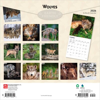 2026 BrownTrout Wolves 12 x 12 Monthly Wall Calendar (9798330706402)